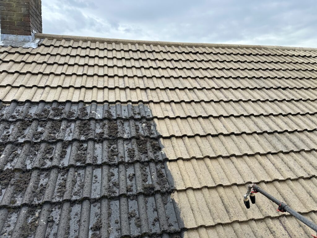 Roof cleaning service