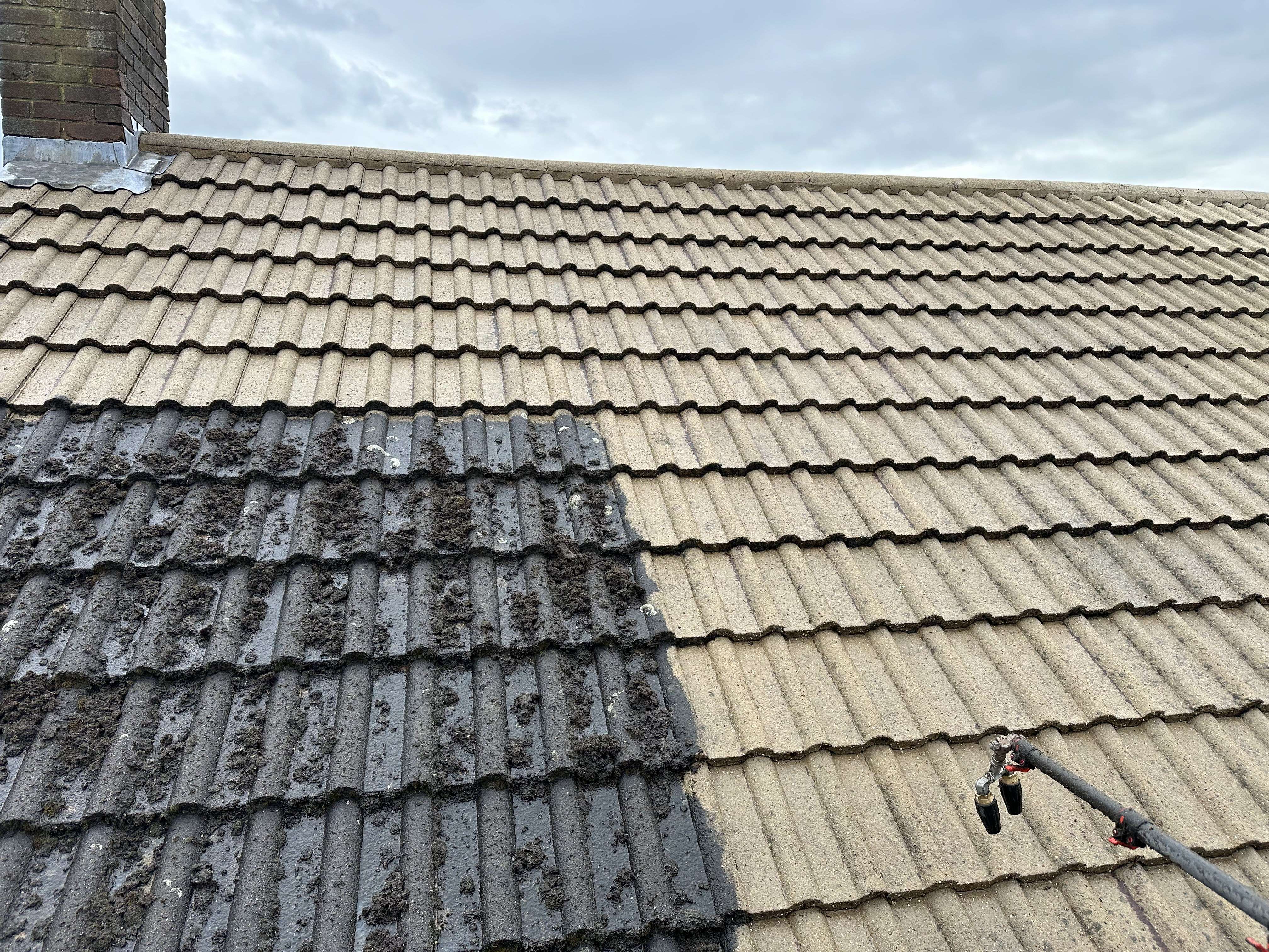 Roof cleaning service
