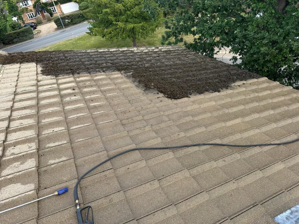 roof cleaning