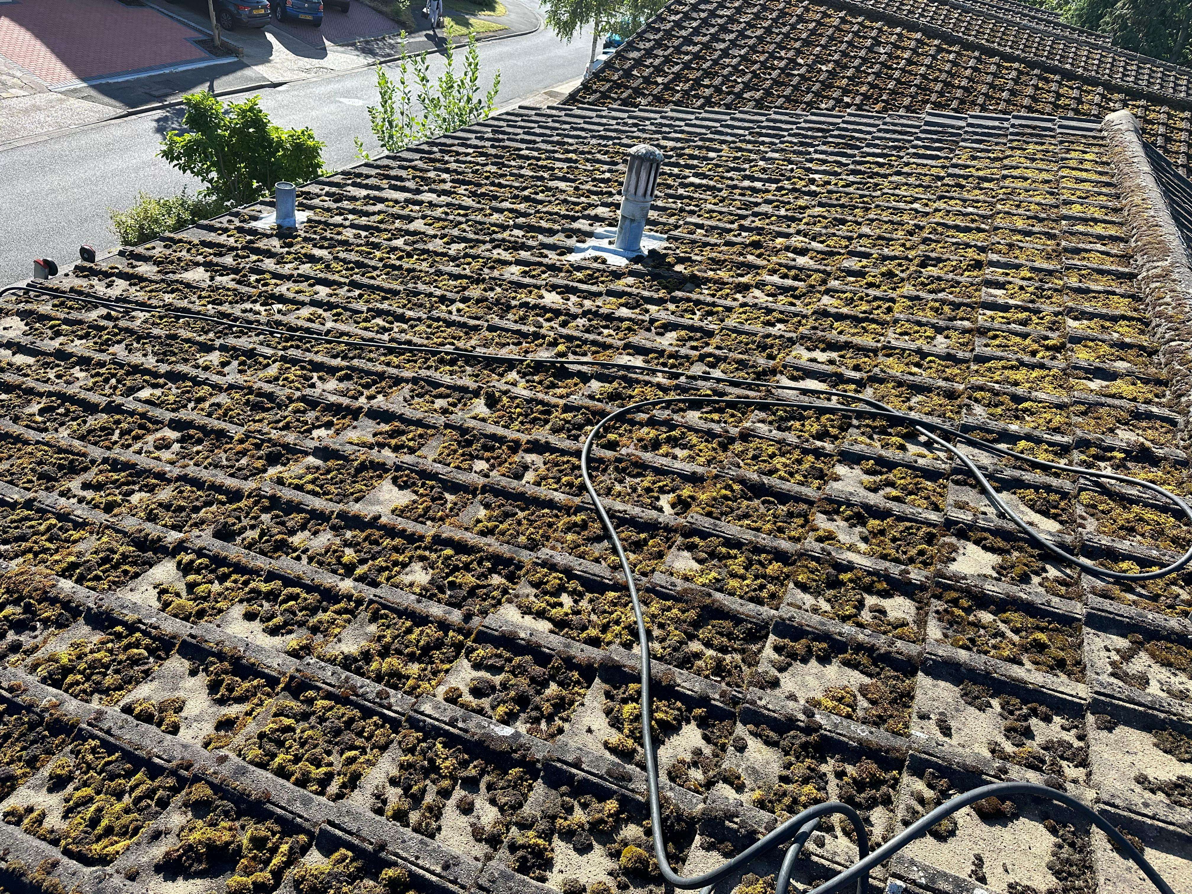 WhatsApp Image 2024-07-08 at 16.48.14